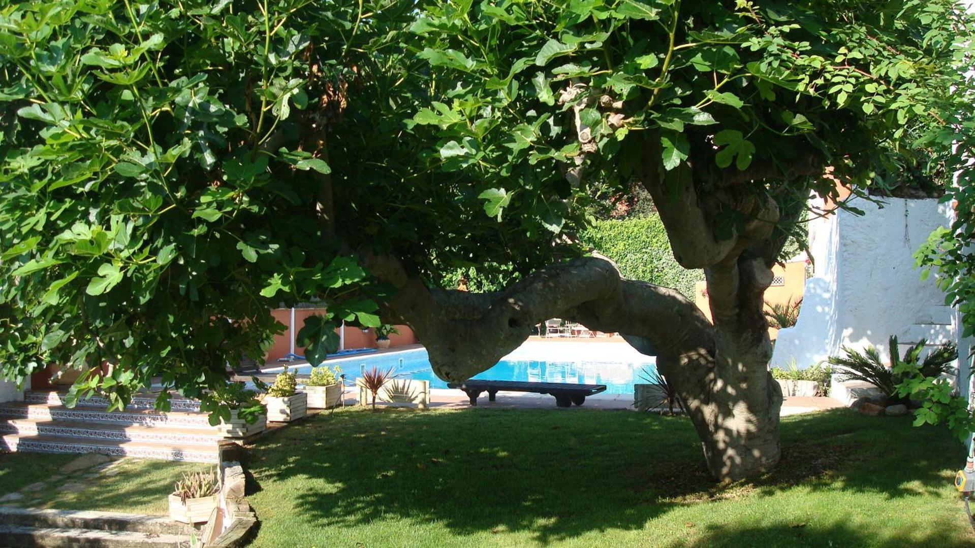Comarquinal Bioresort Penedes San Quintín de Mediona Exterior photo